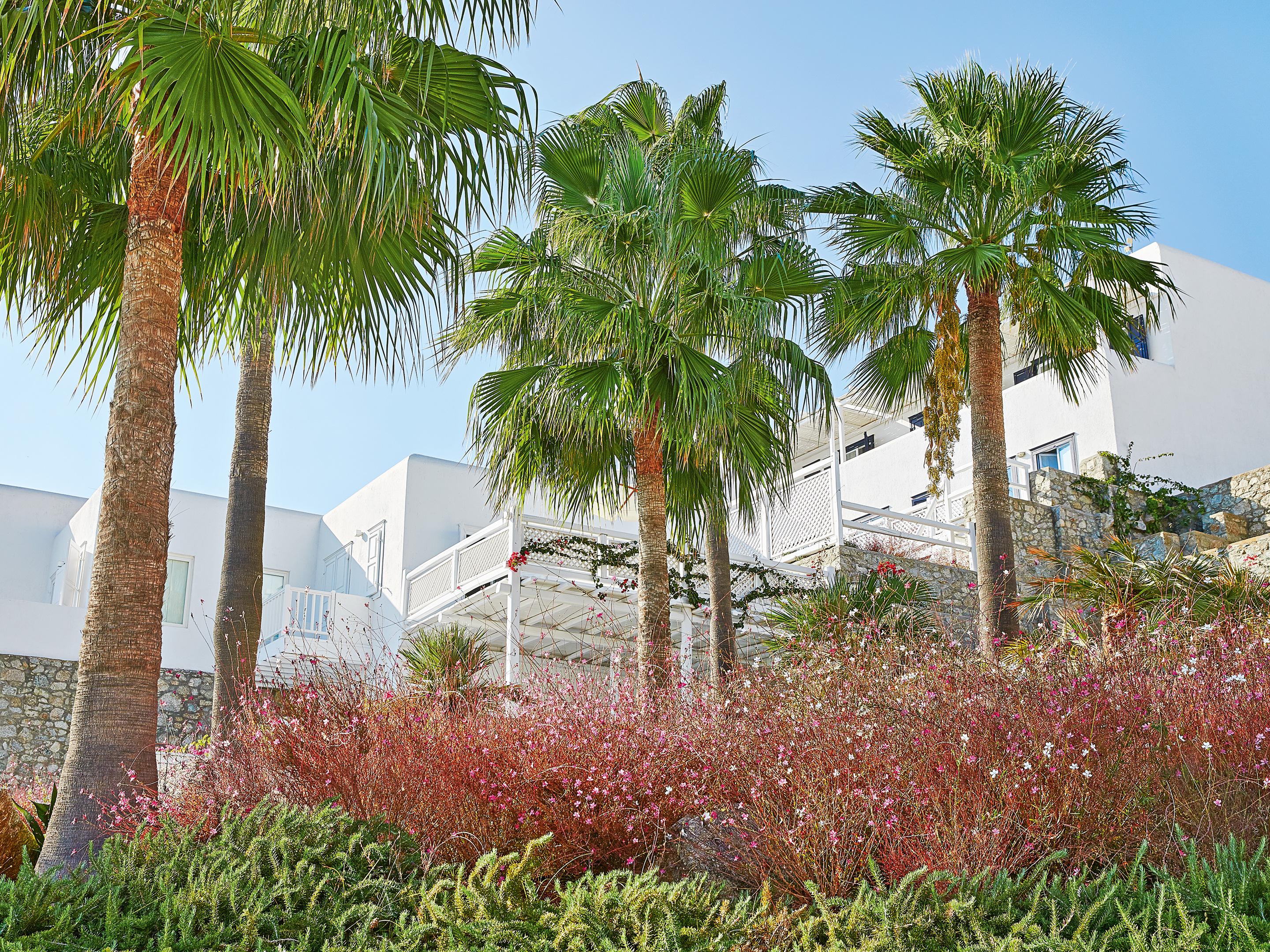 Mykonos Blu, A Grecotel Resort To Live Psarou  Exteriör bild